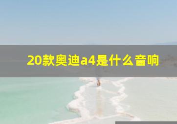 20款奥迪a4是什么音响