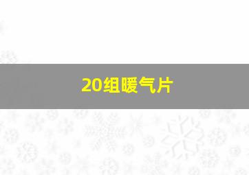 20组暖气片