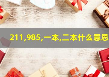 211,985,一本,二本什么意思