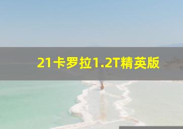 21卡罗拉1.2T精英版