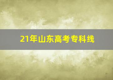 21年山东高考专科线