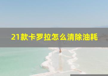 21款卡罗拉怎么清除油耗