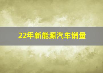 22年新能源汽车销量