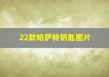 22款帕萨特钥匙图片