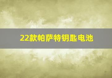 22款帕萨特钥匙电池