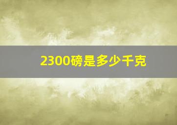 2300磅是多少千克