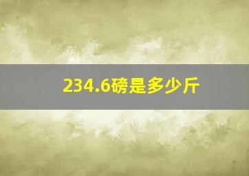 234.6磅是多少斤