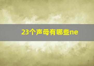 23个声母有哪些ne