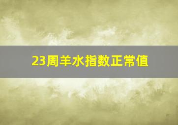 23周羊水指数正常值