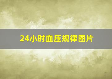 24小时血压规律图片