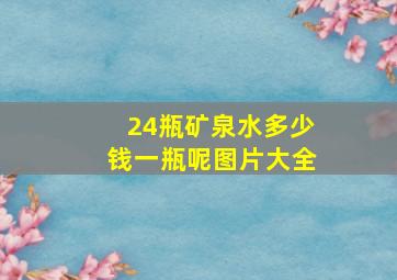 24瓶矿泉水多少钱一瓶呢图片大全