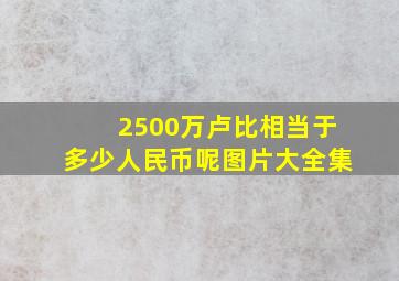 2500万卢比相当于多少人民币呢图片大全集