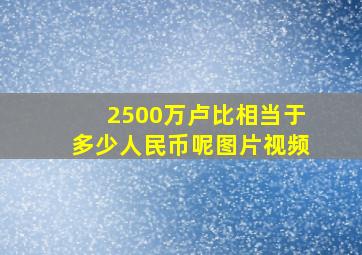 2500万卢比相当于多少人民币呢图片视频