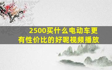 2500买什么电动车更有性价比的好呢视频播放