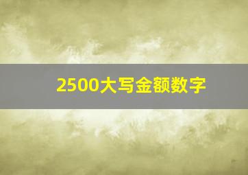 2500大写金额数字