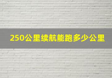 250公里续航能跑多少公里