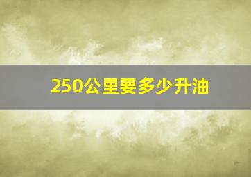 250公里要多少升油