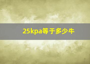 25kpa等于多少牛