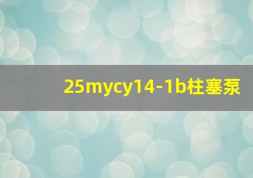 25mycy14-1b柱塞泵