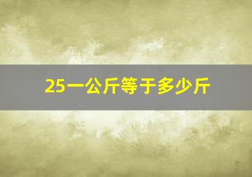 25一公斤等于多少斤