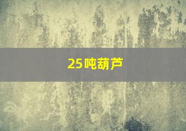 25吨葫芦