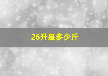 26升是多少斤