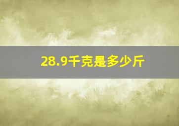 28.9千克是多少斤