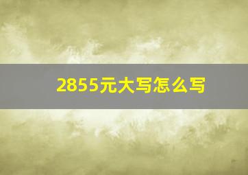 2855元大写怎么写