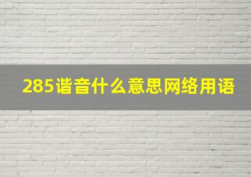 285谐音什么意思网络用语