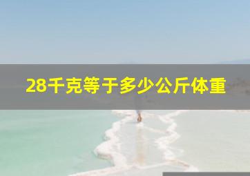 28千克等于多少公斤体重