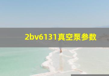 2bv6131真空泵参数