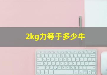 2kg力等于多少牛