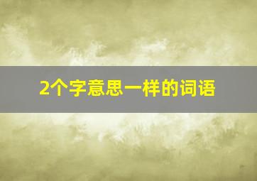 2个字意思一样的词语