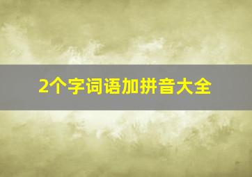 2个字词语加拼音大全