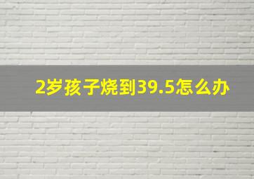 2岁孩子烧到39.5怎么办