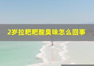 2岁拉粑粑酸臭味怎么回事