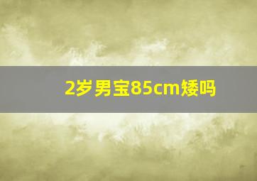 2岁男宝85cm矮吗