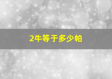 2牛等于多少帕