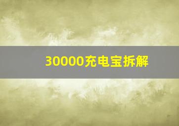 30000充电宝拆解