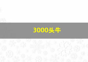 3000头牛