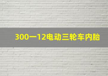 300一12电动三轮车内胎