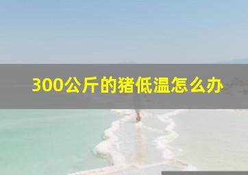 300公斤的猪低温怎么办