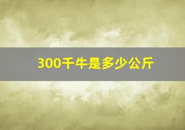 300千牛是多少公斤