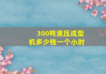 300吨液压成型机多少钱一个小时