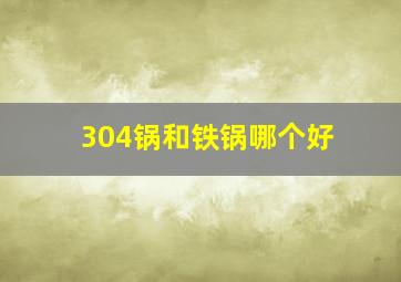 304锅和铁锅哪个好