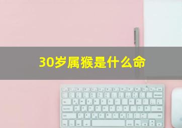 30岁属猴是什么命