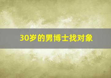 30岁的男博士找对象