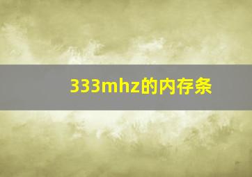 333mhz的内存条