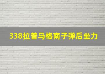 338拉普马格南子弹后坐力