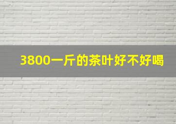 3800一斤的茶叶好不好喝